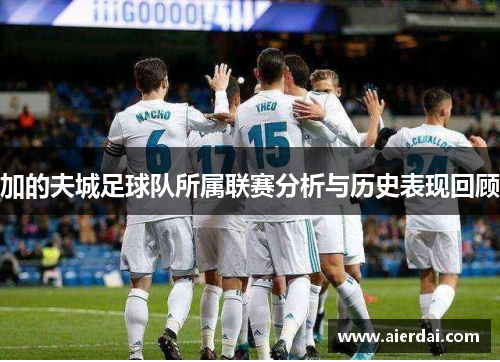 加的夫城足球队所属联赛分析与历史表现回顾