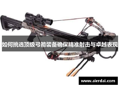 如何挑选顶级弓箭装备确保精准射击与卓越表现